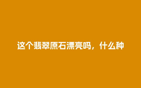 这个翡翠原石漂亮吗，什么种