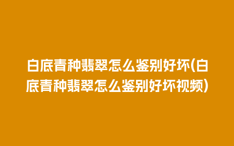 白底青种翡翠怎么鉴别好坏(白底青种翡翠怎么鉴别好坏视频)