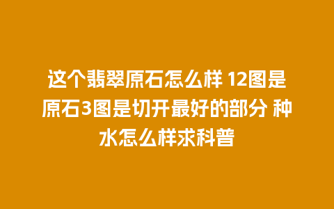 这个翡翠原石怎么样 12图是原石3图是切开最好的部分 种水怎么样求科普