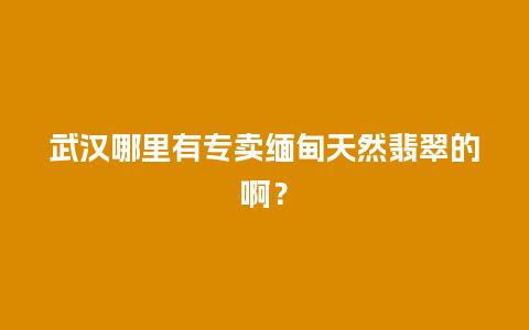 武汉哪里有专卖缅甸天然翡翠的啊？