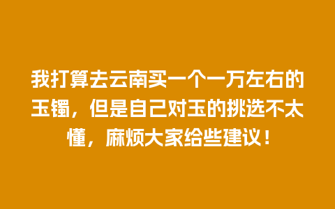 我打算去云南买一个一万左右的玉镯，但是自己对玉的挑选不太懂，麻烦大家给些建议！