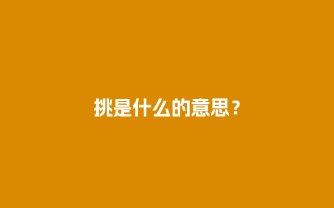 挑是什么的意思？