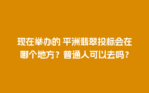 现在举办的 平洲翡翠投标会在哪个地方？普通人可以去吗？