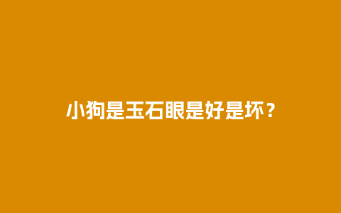 小狗是玉石眼是好是坏？
