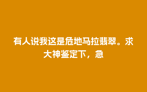 有人说我这是危地马拉翡翠。求大神鉴定下，急