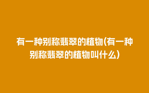 有一种别称翡翠的植物(有一种别称翡翠的植物叫什么)
