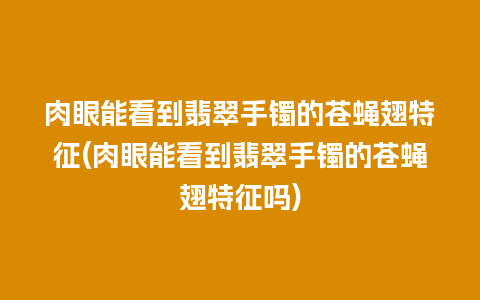 肉眼能看到翡翠手镯的苍蝇翅特征(肉眼能看到翡翠手镯的苍蝇翅特征吗)