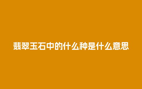 翡翠玉石中的什么种是什么意思