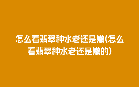 怎么看翡翠种水老还是嫩(怎么看翡翠种水老还是嫩的)
