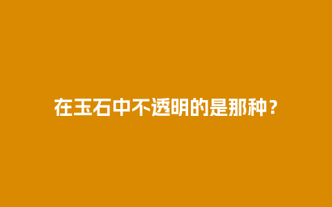 在玉石中不透明的是那种？