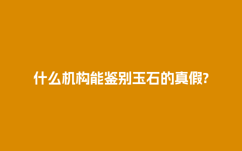 什么机构能鉴别玉石的真假?