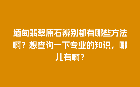 缅甸翡翠原石辨别都有哪些方法啊？想查询一下专业的知识，哪儿有啊？