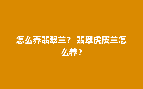 怎么养翡翠兰？ 翡翠虎皮兰怎么养？