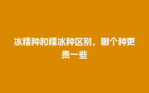 冰糯种和糯冰种区别，哪个种更贵一些