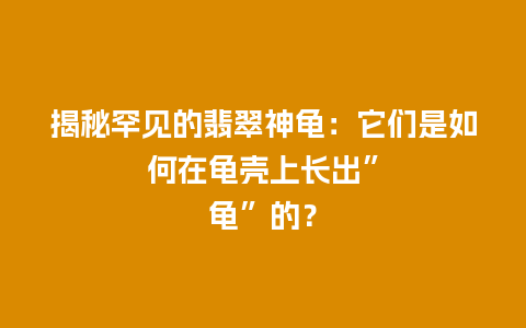 揭秘罕见的翡翠神龟：它们是如何在龟壳上长出”龟”的？