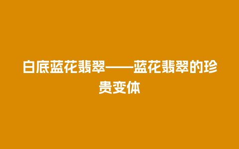 白底蓝花翡翠——蓝花翡翠的珍贵变体