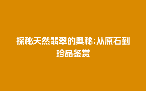 探秘天然翡翠的奥秘:从原石到珍品鉴赏