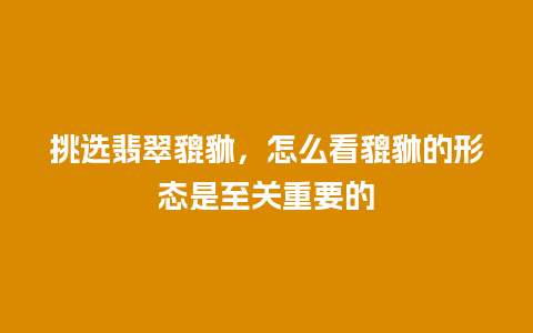 挑选翡翠貔貅，怎么看貔貅的形态是至关重要的