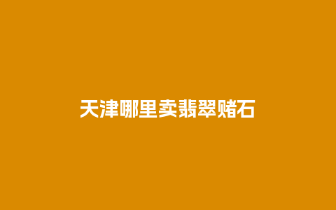 天津哪里卖翡翠赌石