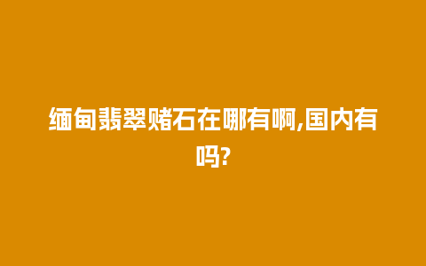 缅甸翡翠赌石在哪有啊,国内有吗?