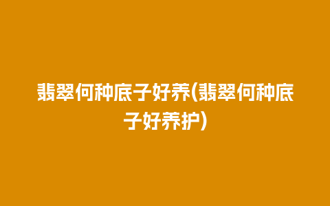 翡翠何种底子好养(翡翠何种底子好养护)