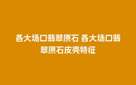 各大场口翡翠原石 各大场口翡翠原石皮壳特征