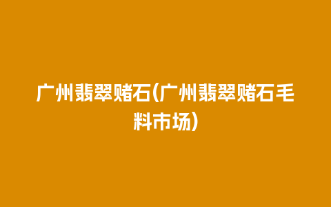 广州翡翠赌石(广州翡翠赌石毛料市场)