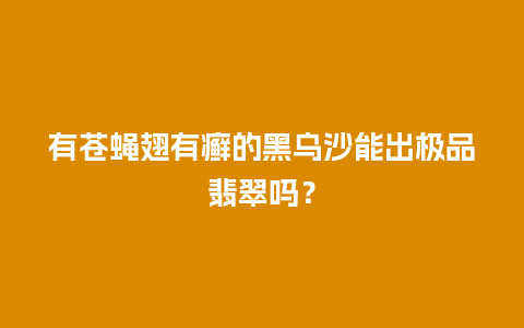 有苍蝇翅有癣的黑乌沙能出极品翡翠吗？