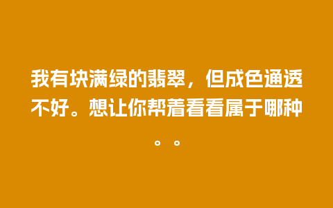 我有块满绿的翡翠，但成色通透不好。想让你帮着看看属于哪种。。