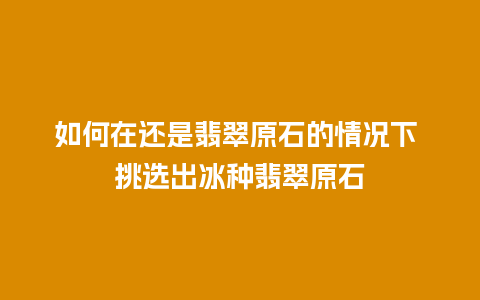 如何在还是翡翠原石的情况下 挑选出冰种翡翠原石