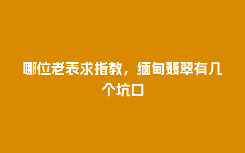 哪位老表求指教，缅甸翡翠有几个坑口