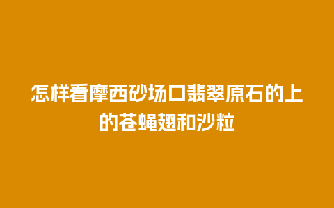 怎样看摩西砂场口翡翠原石的上的苍蝇翅和沙粒