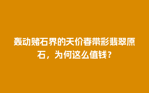 轰动赌石界的天价春带彩翡翠原石，为何这么值钱？