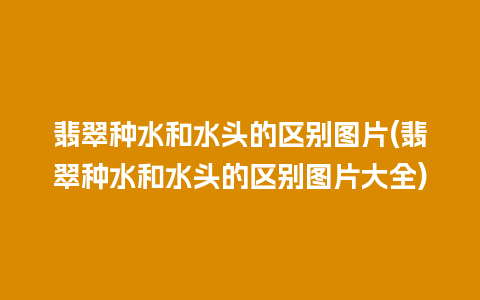 翡翠种水和水头的区别图片(翡翠种水和水头的区别图片大全)