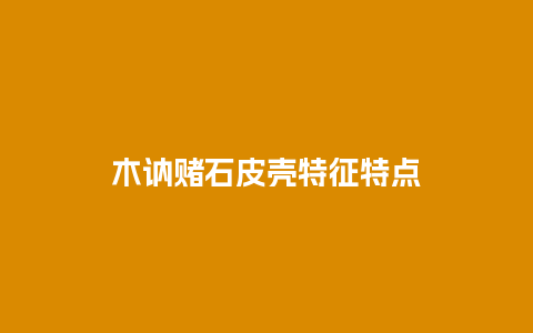 木讷赌石皮壳特征特点
