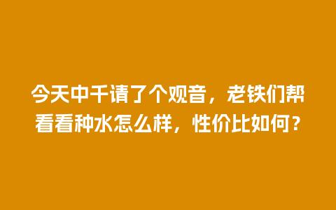 今天中千请了个观音，老铁们帮看看种水怎么样，性价比如何？