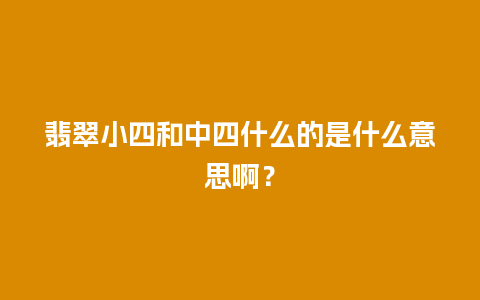 翡翠小四和中四什么的是什么意思啊？