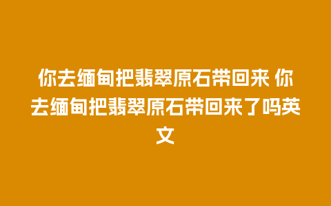 你去缅甸把翡翠原石带回来 你去缅甸把翡翠原石带回来了吗英文