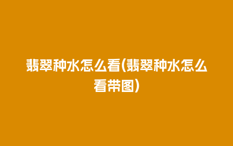 翡翠种水怎么看(翡翠种水怎么看带图)