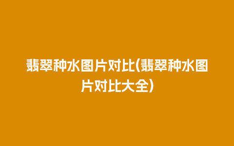 翡翠种水图片对比(翡翠种水图片对比大全)