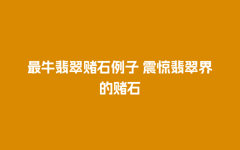 最牛翡翠赌石例子 震惊翡翠界的赌石