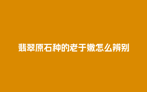 翡翠原石种的老于嫩怎么辨别