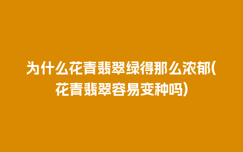 为什么花青翡翠绿得那么浓郁(花青翡翠容易变种吗)