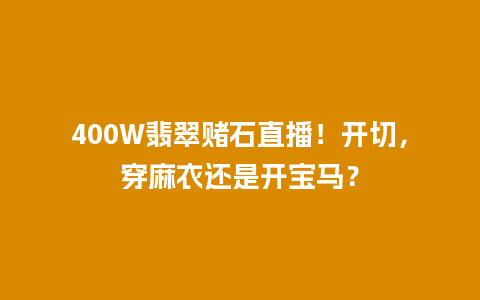 400W翡翠赌石直播！开切，穿麻衣还是开宝马？