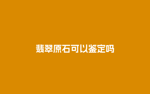 翡翠原石可以鉴定吗