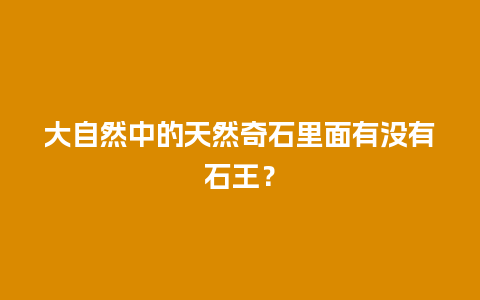 大自然中的天然奇石里面有没有石王？