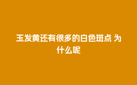 玉发黄还有很多的白色斑点 为什么呢