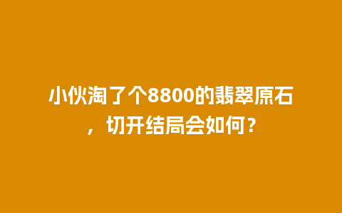 小伙淘了个8800的翡翠原石，切开结局会如何？