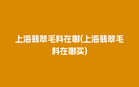 上海翡翠毛料在哪(上海翡翠毛料在哪买)