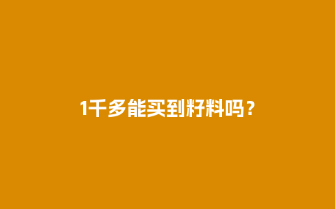 1千多能买到籽料吗？